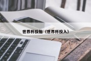 世界杯投胎（世界杯投入）