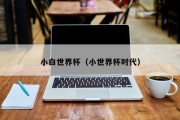 小白世界杯（小世界杯时代）